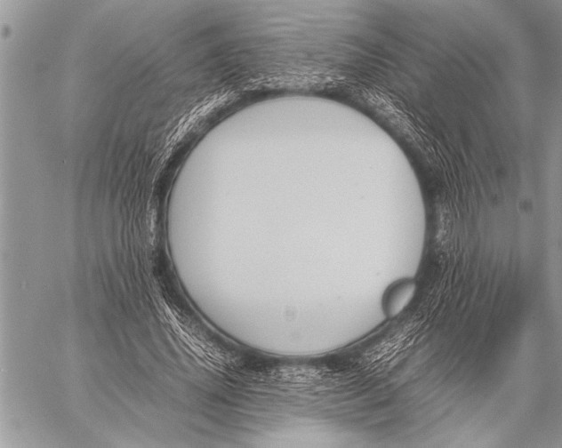 X0000058130636200510171337