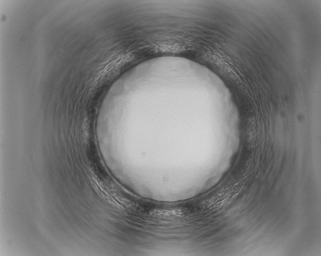 X0000058130639200510171337