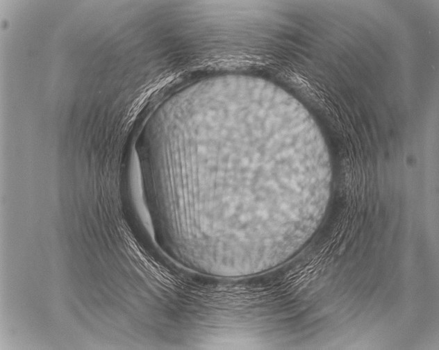 X0000058130640200510171337