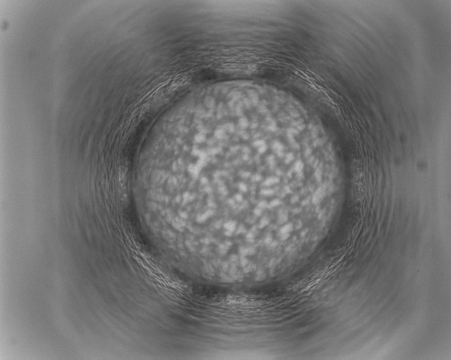 X0000058130641200510171337