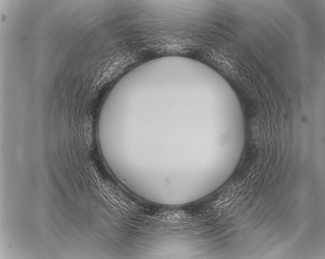 X0000058130642200510171337