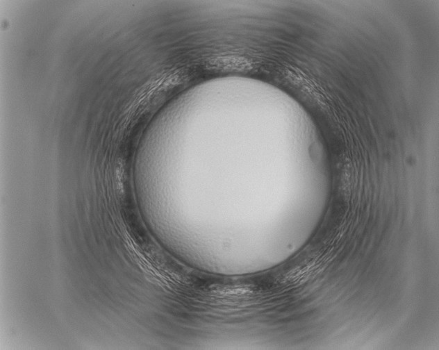 X0000058130643200510171337