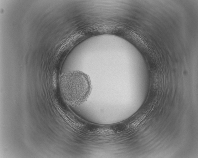 X0000058130644200510171337