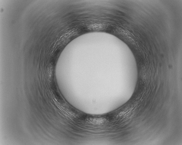 X0000058130645200510171337