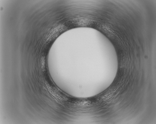 X0000058130646200510171337