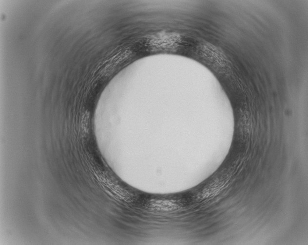 X0000058130649200510171337