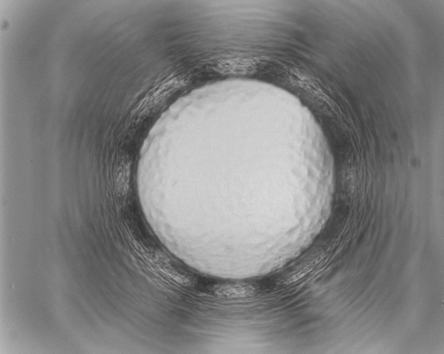 X0000058130652200510171337