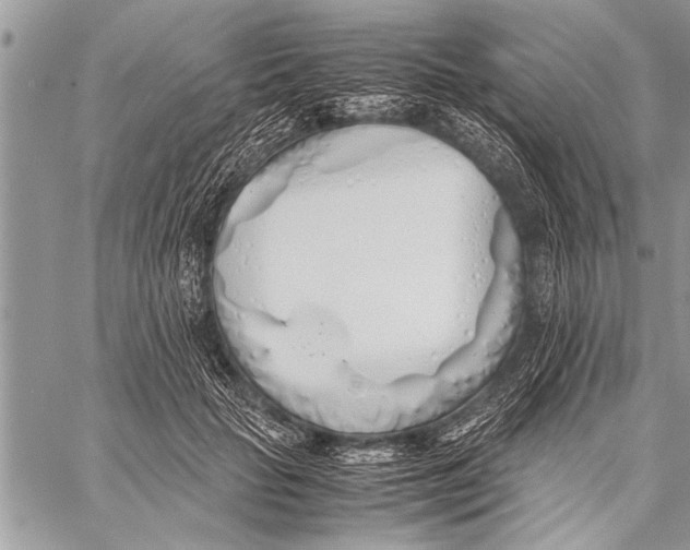 X0000058130653200510171337