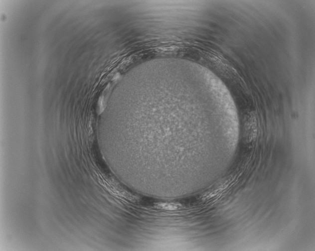 X0000058130654200510171337