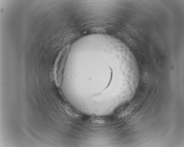 X0000058130658200510171337