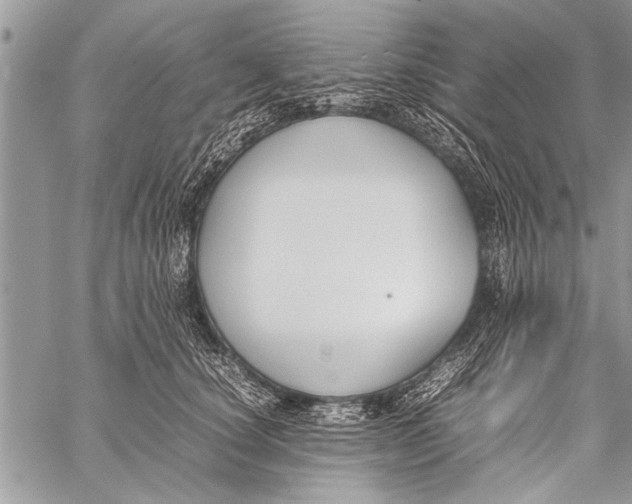 X0000058130660200510171337