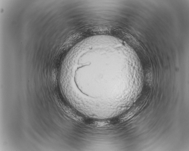 X0000058130662200510171337