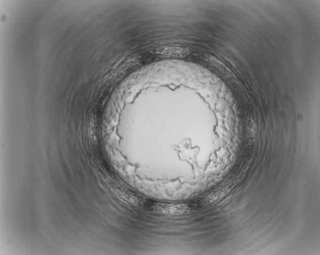 X0000058130663200510171338