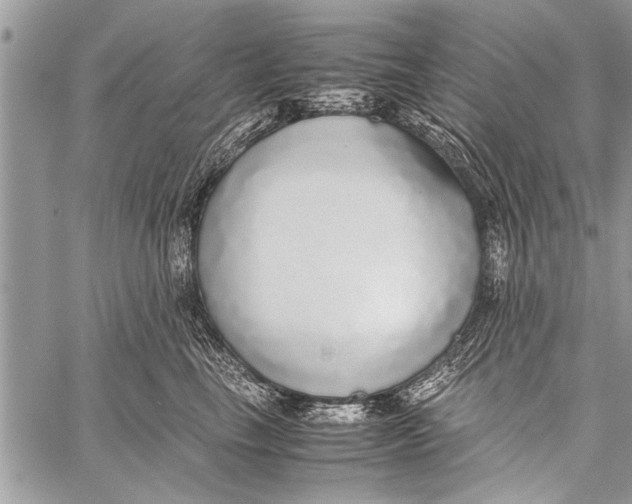 X0000058130665200510171338