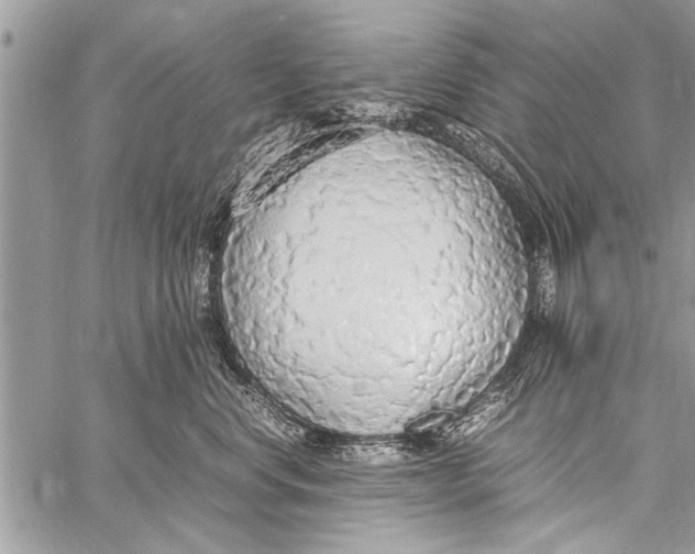 X0000058130668200510171338