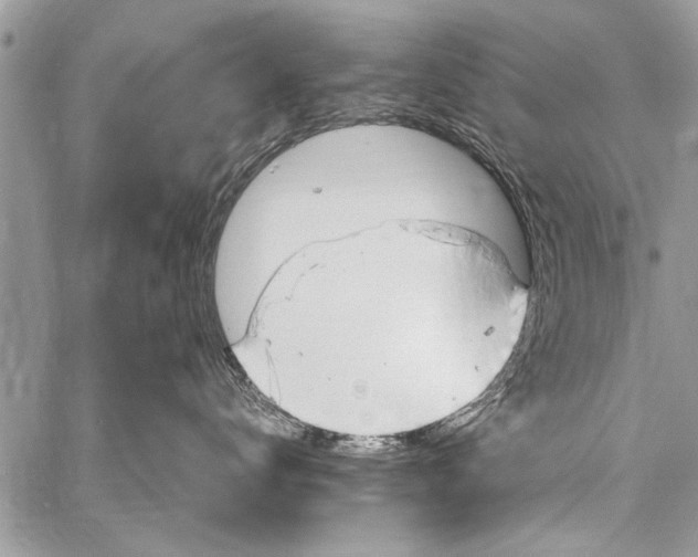 X0000058130672200510171338