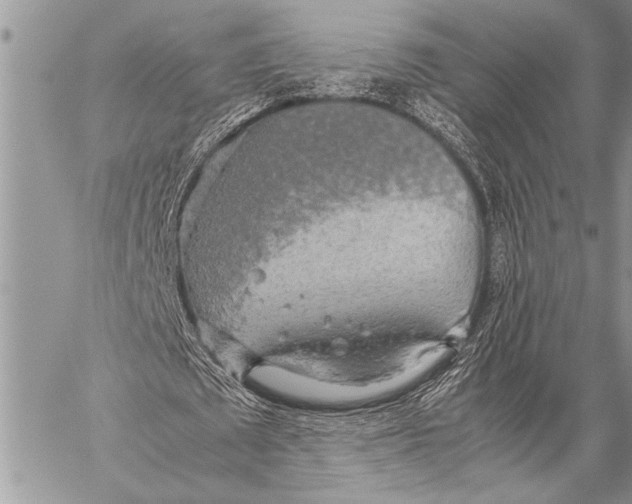 X0000058130673200510171337