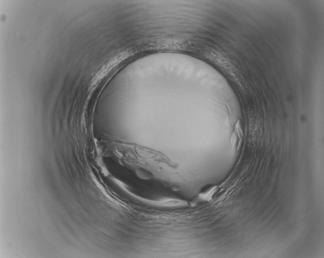 X0000058130674200510171337