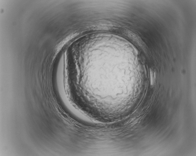 X0000058130675200510171337