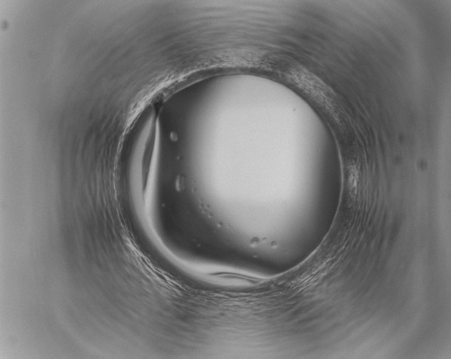 X0000058130676200510171337