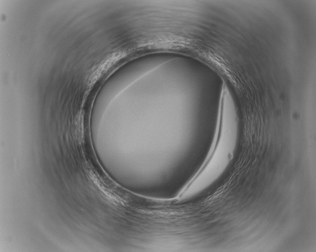 X0000058130678200510171337