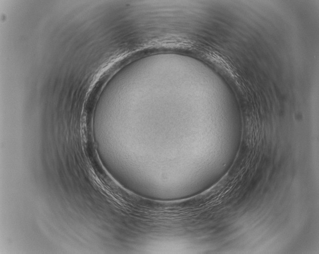 X0000058130680200510171337