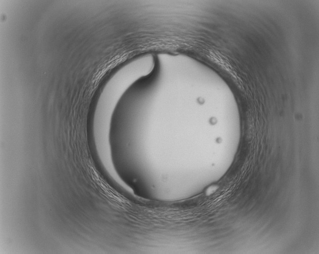 X0000058130681200510171337