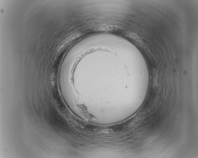 X0000058130683200510171337