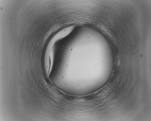 X0000058130685200510171337