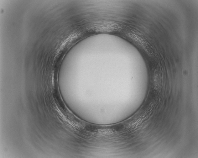 X0000058130686200510171337