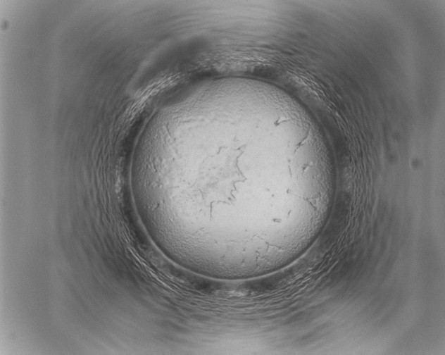 X0000058130687200510171337