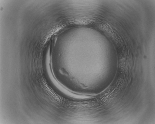 X0000058130688200510171337