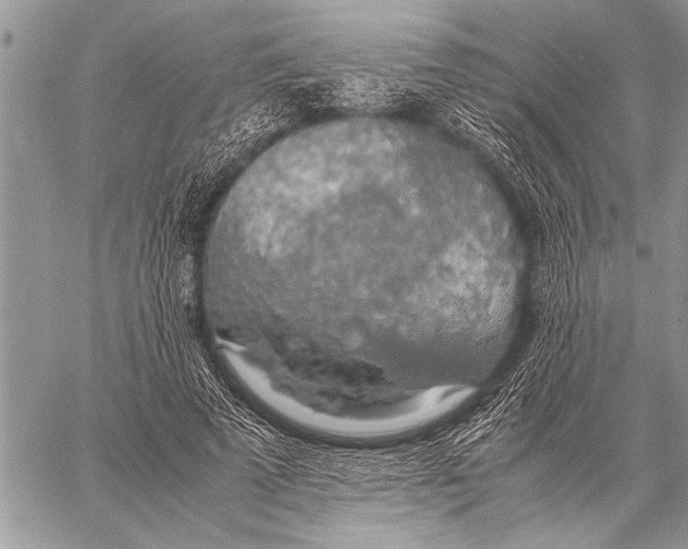 X0000058130689200510171337