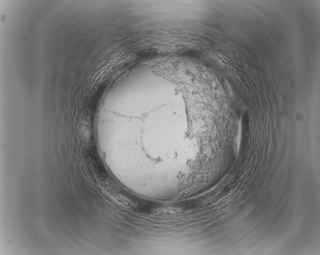 X0000058130691200510171337