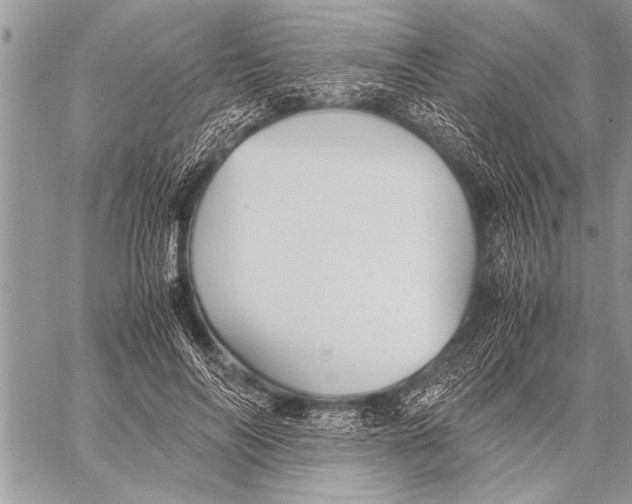 X0000058130694200510171337