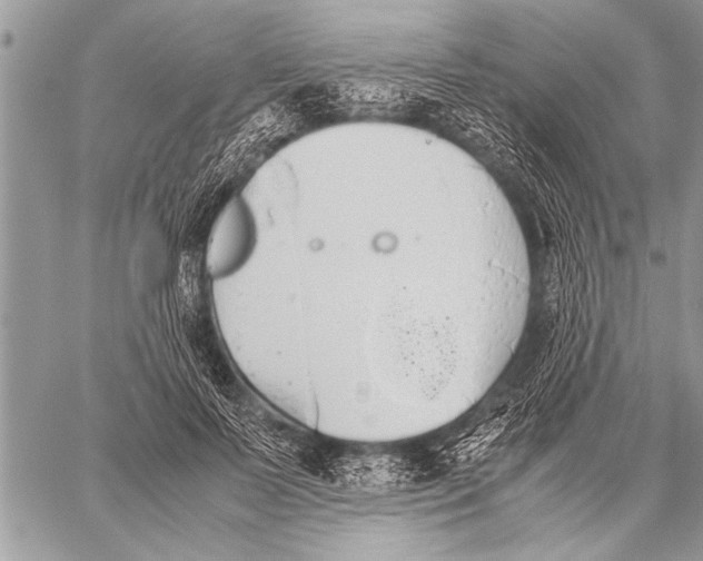 X0000058130695200510171336