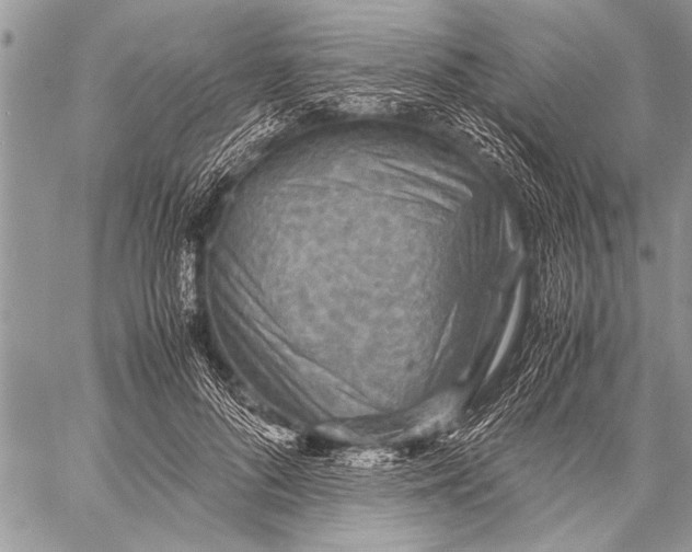 X0000058130696200510171336