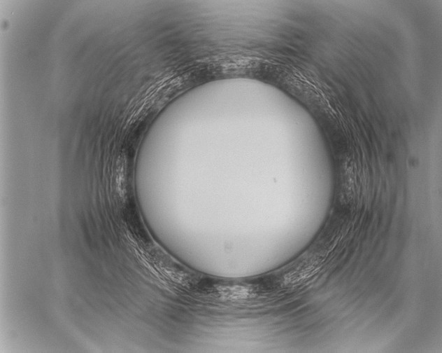 X0000058130698200510171336