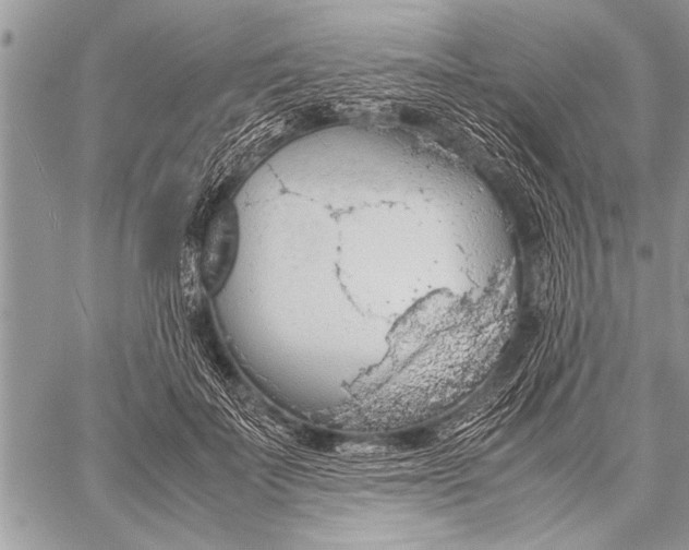 X0000058130699200510171336