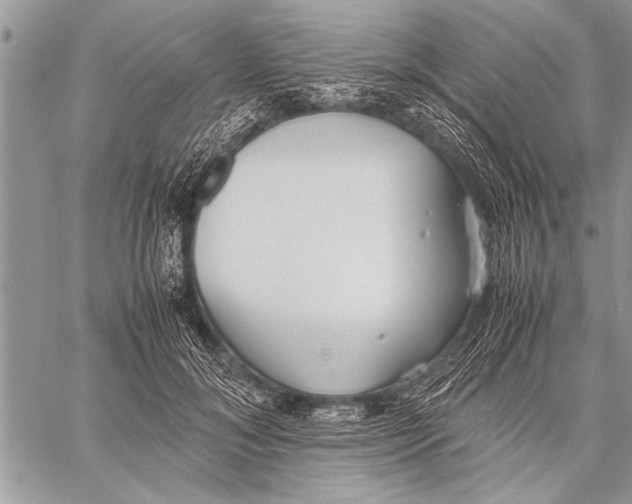 X0000058130700200510171336