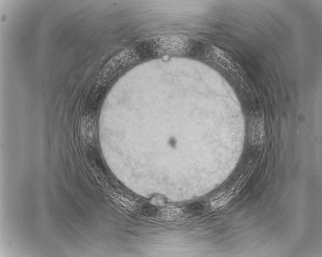 X0000058130701200510171336