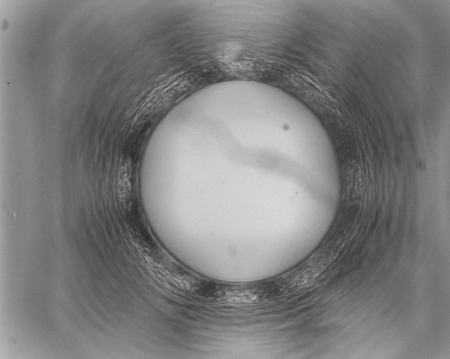 X0000058130702200510171336