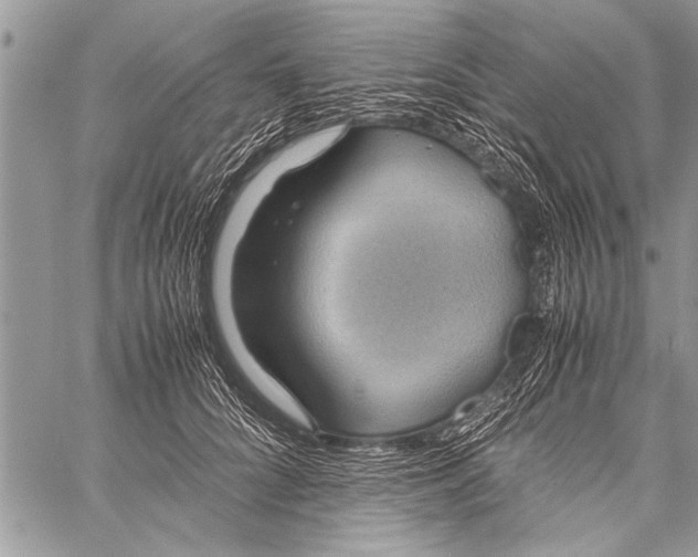 X0000058130704200510171336