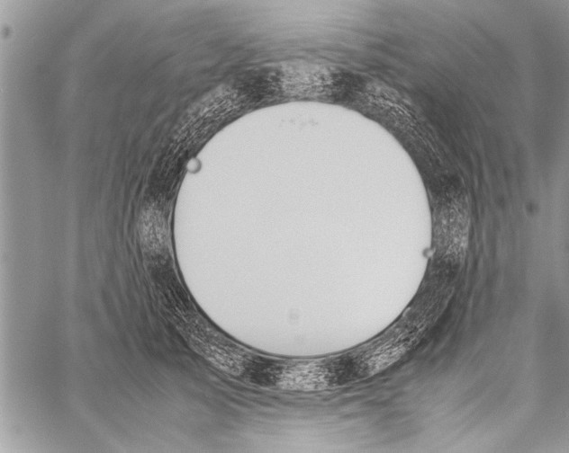 X0000058130705200510171336