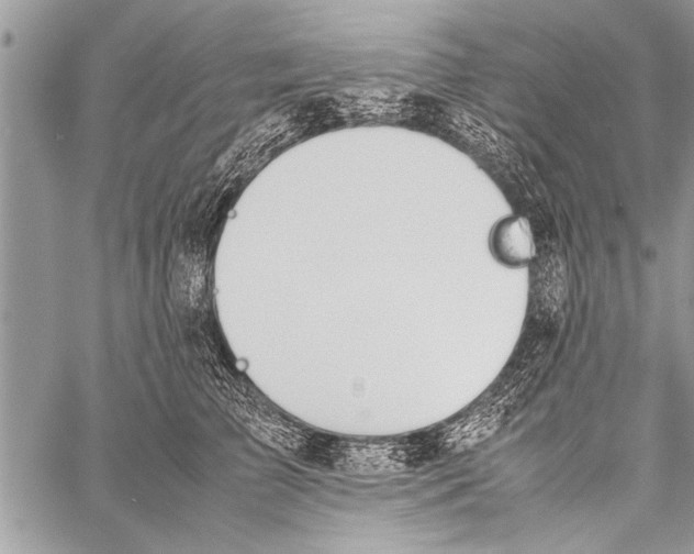 X0000058130709200510171336