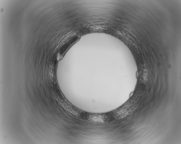 X0000058130710200510171336