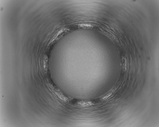 X0000058130712200510171336