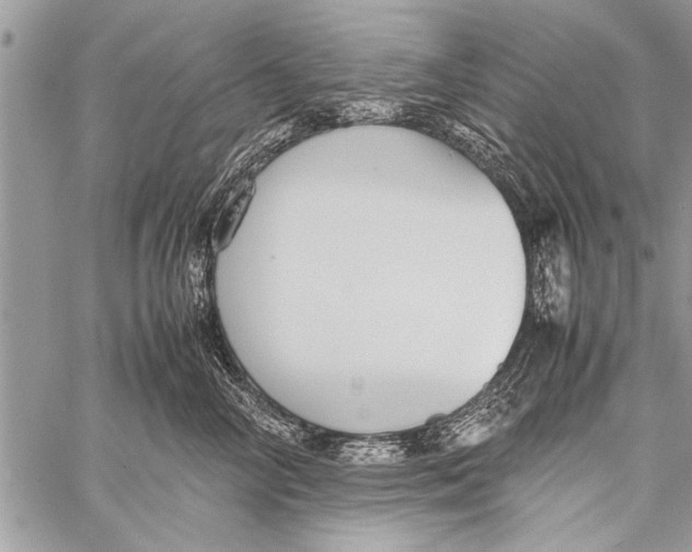 X0000058130714200510171336