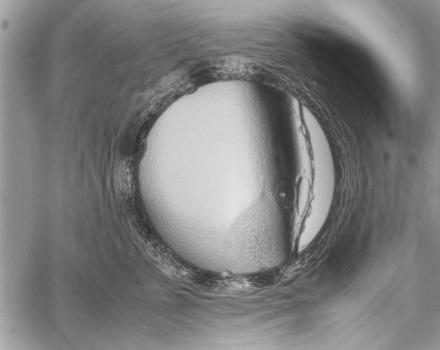 X0000058130715200510171336