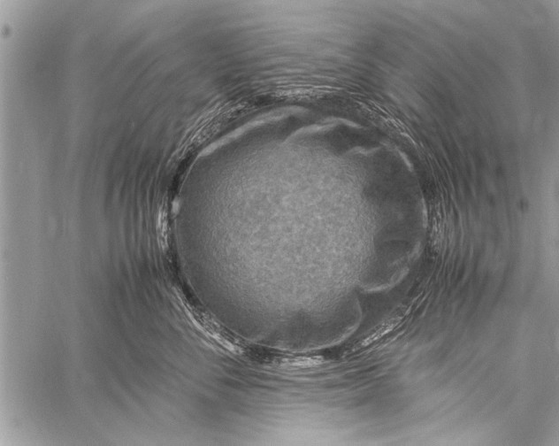 X0000058130716200510171336